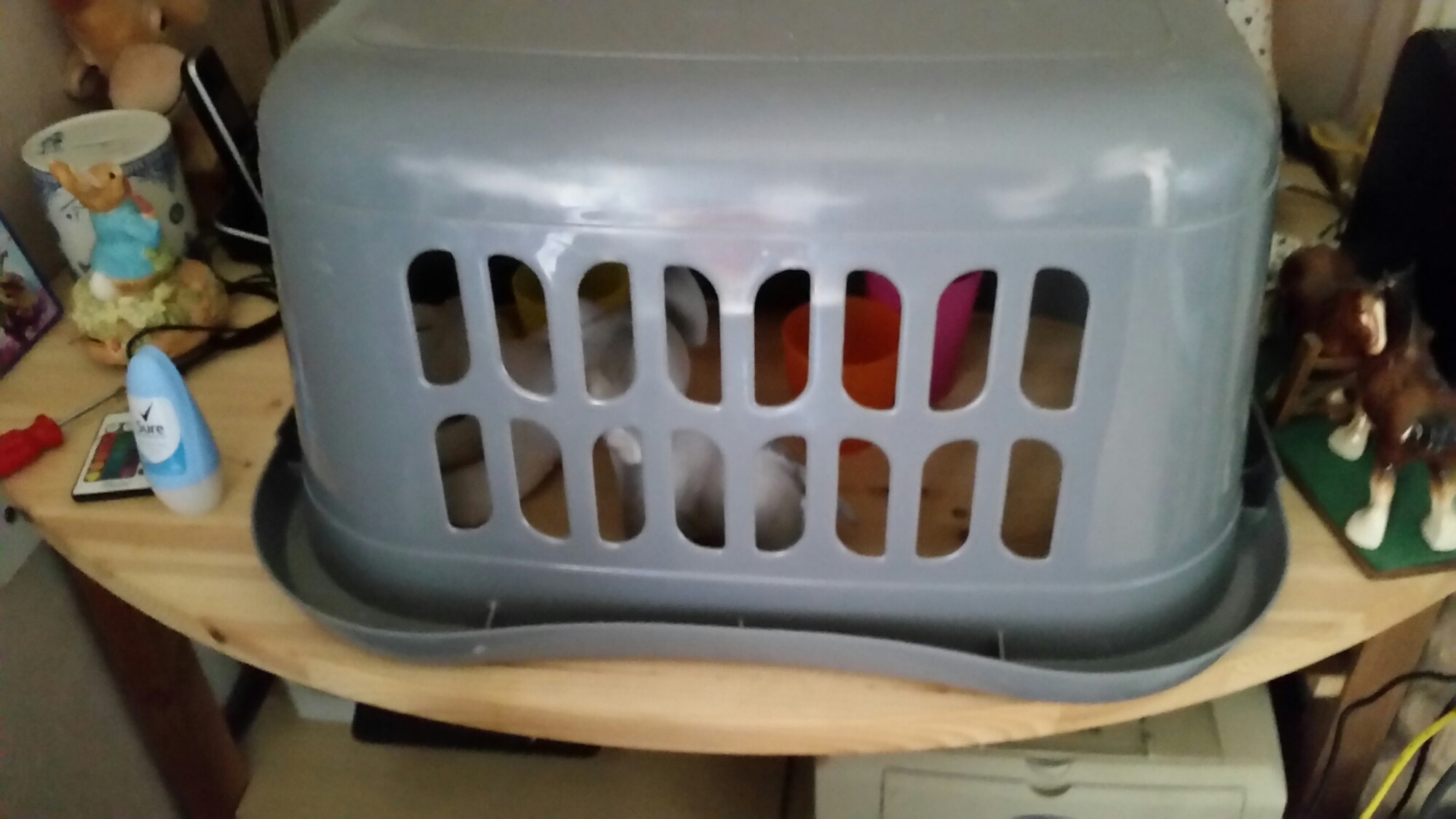 20150902_171747.jpg image