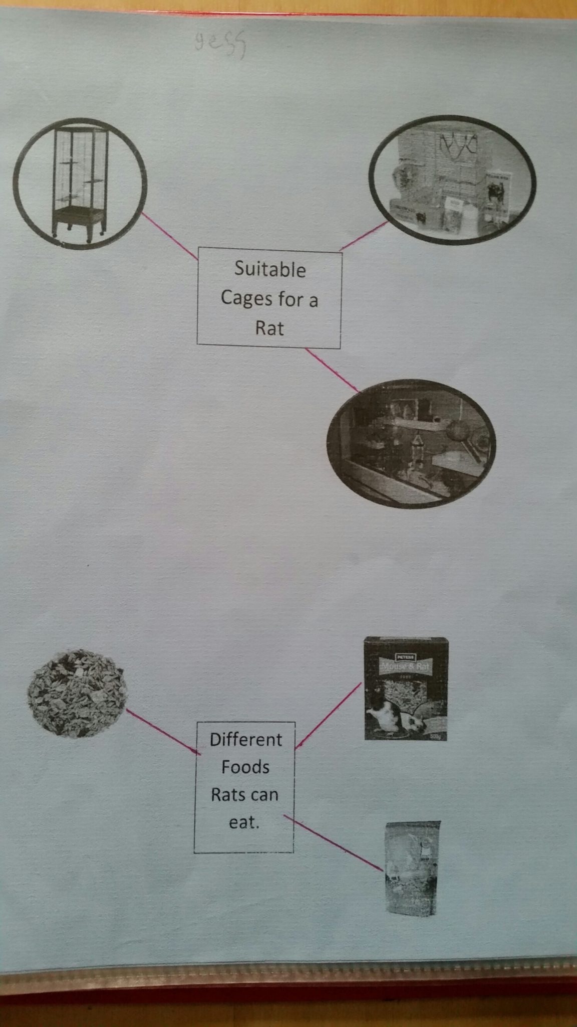 20150903_175113.jpg image