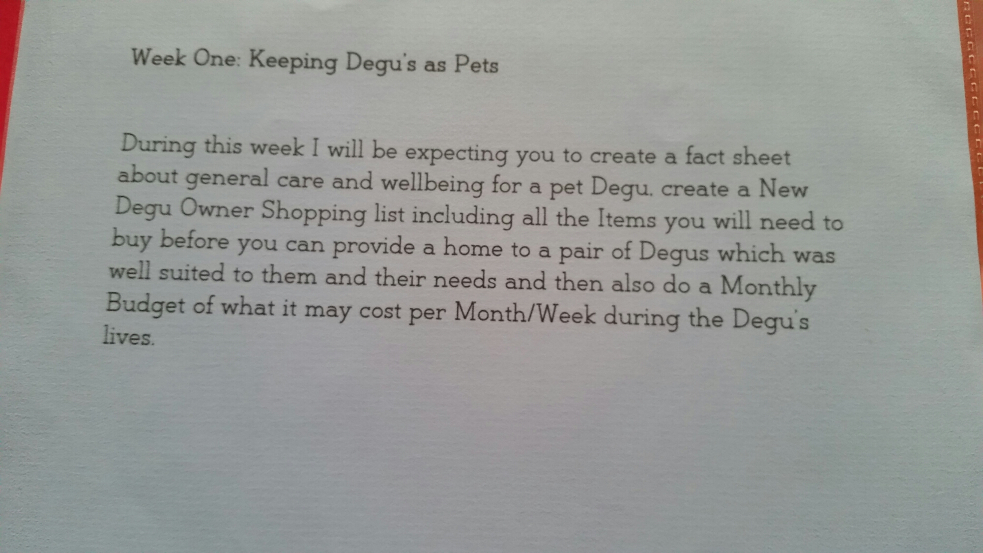 wp-1441316243680 image